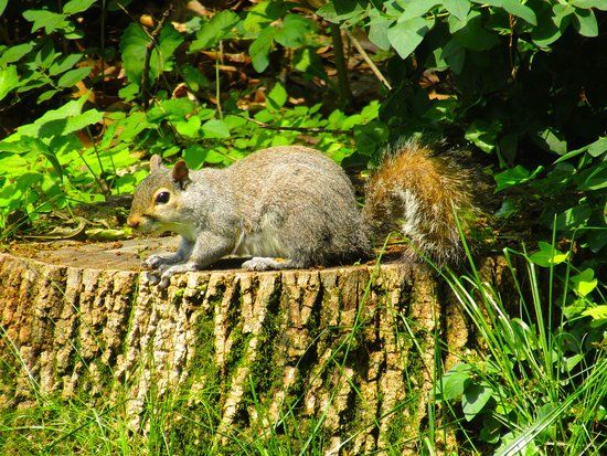 LeTort Spring Run and Nature Trail